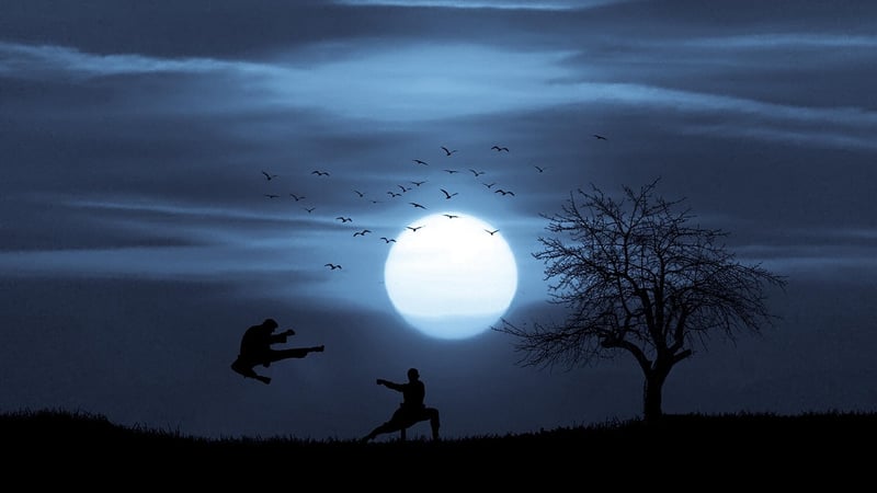 Tai Chi Fan